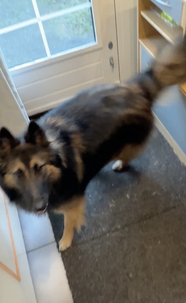 leuk naar de auto.mp4